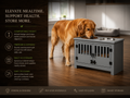ElevateBowl Raised Dog Feeding Station with Cabinet Storage Grey